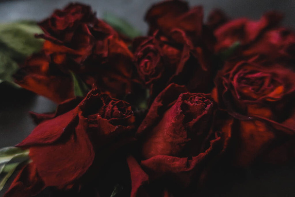 Piros rózsa rózsa száraz virágok, mint virágos ősz sötét fekete évjárat botanikus szemcsés zajos elmosódott romantikus intim dekoratív minta háttér tapéta háttér - Fotó, kép