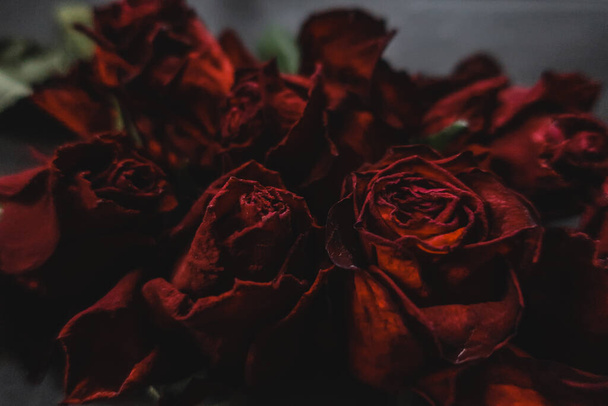 Red roses rosa dry flowers as floral autumn dark black vintage botanical grainy noisy blurred romantic intimate decorative pattern background wallpaper backdrop - Photo, Image
