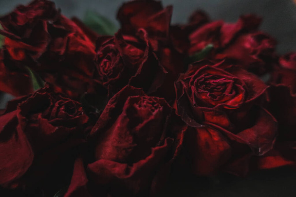 Red roses rosa dry flowers as floral autumn dark black vintage botanical grainy noisy blurred romantic intimate decorative pattern background wallpaper backdrop - Foto, afbeelding