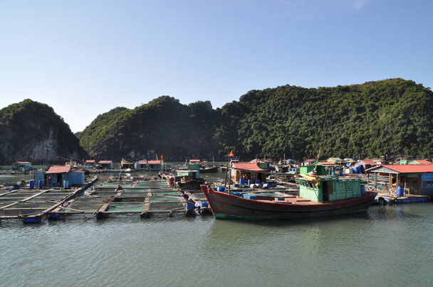 Boot bij een drijvend dorp in Ha Long Bay, Vietnam. - Foto, afbeelding