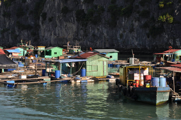 Floating village in Ha Long Bay, Vietnam - Photo, Image