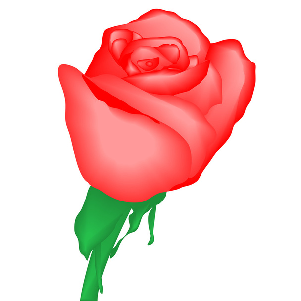 czerwona róża, ilustracji wektorowych, eps10 - Wektor, obraz