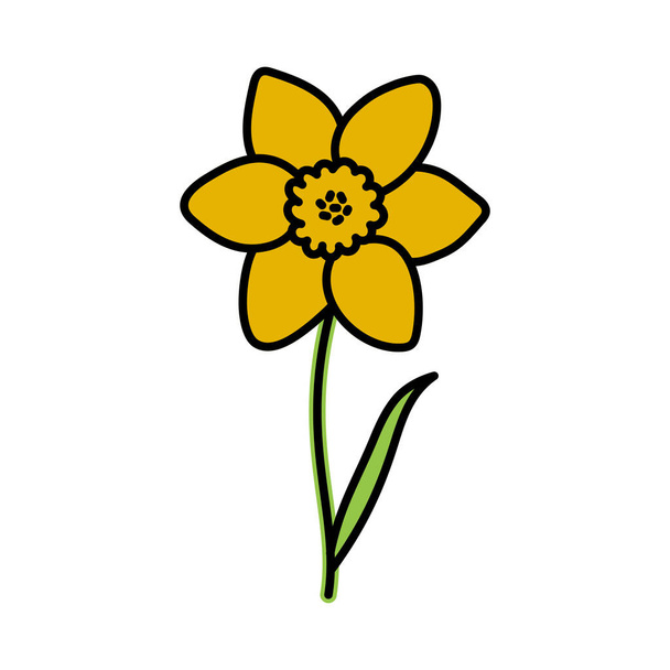 Нарцисс. Цветок каракули со стеблем и листом. Векторный цветной эскиз - Вектор,изображение