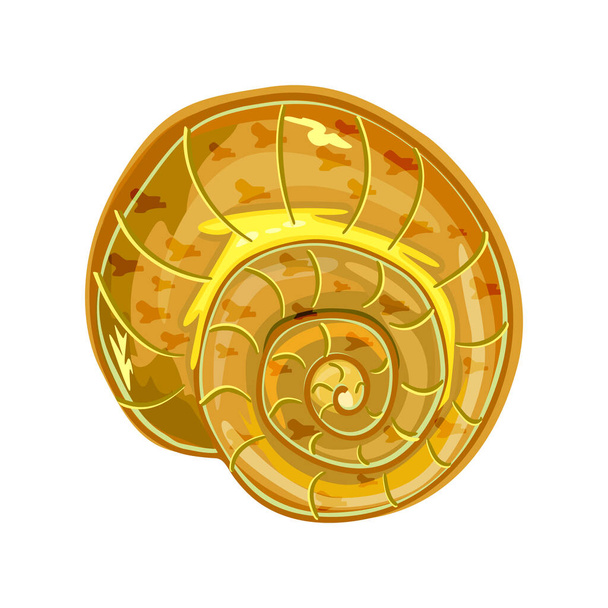 Shell isolated on white background. Conch icon. Snail house. Empty sea clam shell. Underwater life object. Marine inhabitant. Ocean symbol. Stock vector illustration - Vektör, Görsel