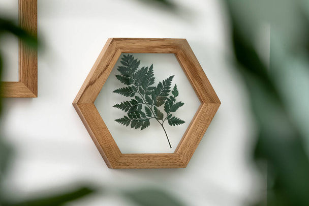 Dry flowers in a frame. walls with botanical leaves. Eco-friendly boho decor. - Foto, Imagem