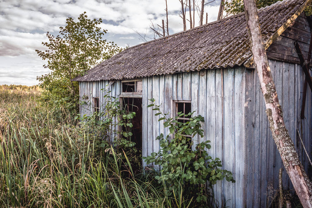 Old shed in Emerald abandoned recreation base in Chernobyl Exclusion Zone in Ukraine - Photo, Image