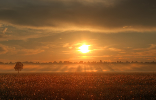 The sheaf of hay at dawn, Novgorod region ,Russia - Photo, Image