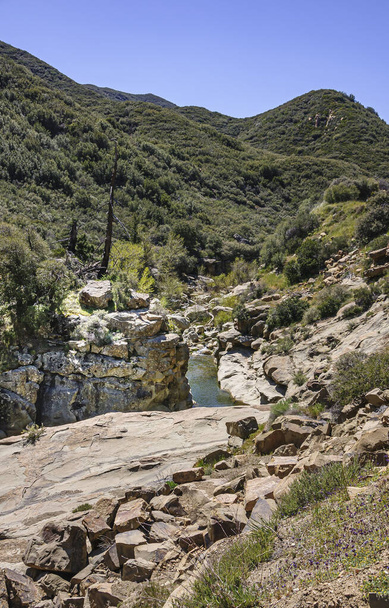 Forêt nationale de Los Padres, Californie, États-Unis - 8 avril 2010 : Matiliija Creek trouve son chemin parmi les roches brunes au fond du canyon de montagne vert sous le ciel bleu. Beaucoup de végétation verte. - Photo, image