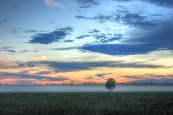 La gavilla de heno al amanecer, región de Novgorod, Rusia
 - Foto, imagen