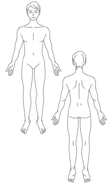 Ilustración de todo el cuerpo y la espalda de un hombre - Vector, imagen