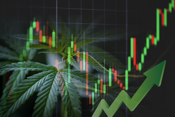 Cannabis-Geschäft mit Marihuana-Blättern und Aktiendiagrammen auf Börsenhandel Investitionen, kommerzielle Cannabis-Medizin Geld finanzieren Handel Gewinne Trends nach oben und Krise roten Verlust - Foto, Bild