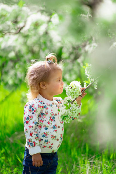 little girl stands at flowering tree in garden. seasonal allergies in children.  - Фото, зображення