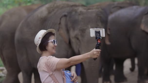 Ázsiai középkorú nő turista pihentető és hogy egy képet elefántok Chiang Mai, Thaiföld. - Felvétel, videó