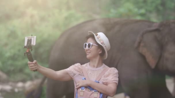 Aziatische vrouw van middelbare leeftijd toerist ontspannen en neem een foto met olifanten in chiang Mai, Thailand. - Video