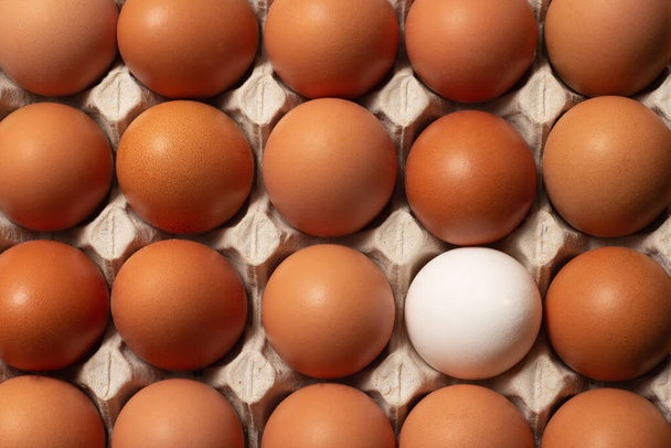 Huevos crudos frescos de pollo y blanco en un envase de cartón. Ingredientes para cocinar. Concepto para una alimentación saludable. Enfoque selectivo. - Foto, Imagen