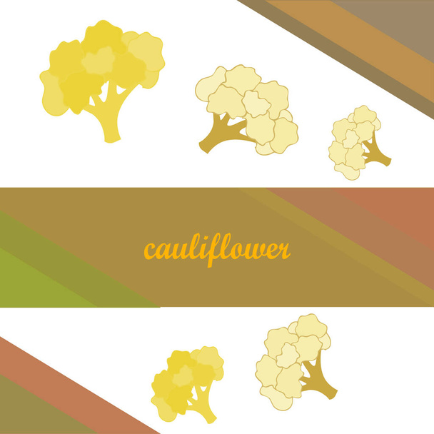 Cauliflower. Organic food poster. Farmer market design. Vector background. - Vector, Imagen