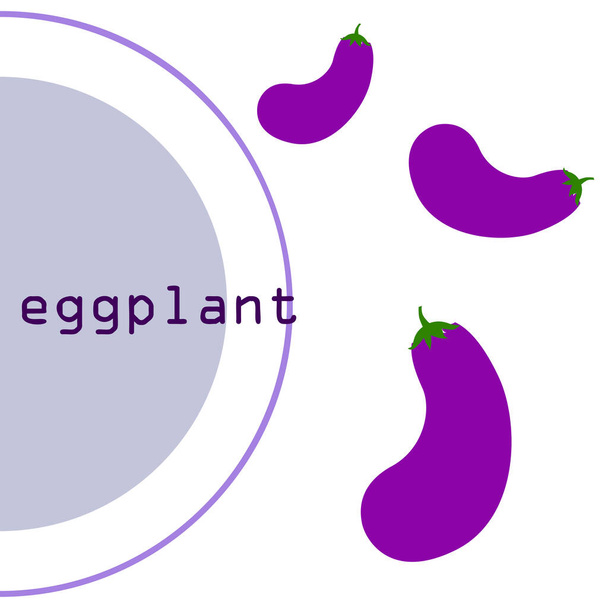 Eggplant. Fresh vegetables. Organic food poster. Farmer market design. Vector background. - Vector, Imagen