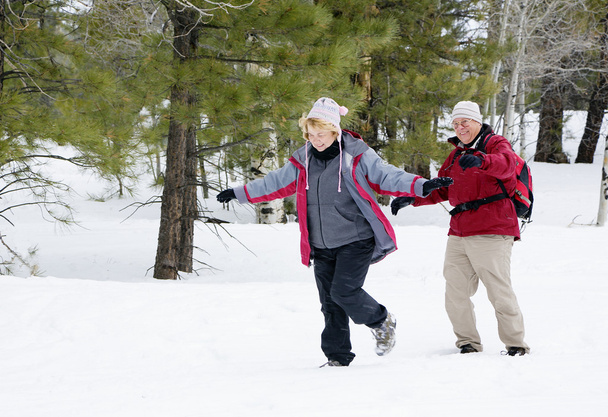 Active retired couple playing in the snow - Photo, Image