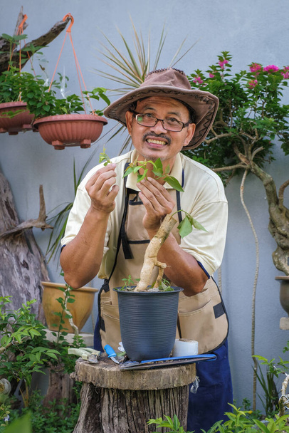 Чоловік крок за кроком в саду збирає бугенвіль квітка дерева
 - Фото, зображення