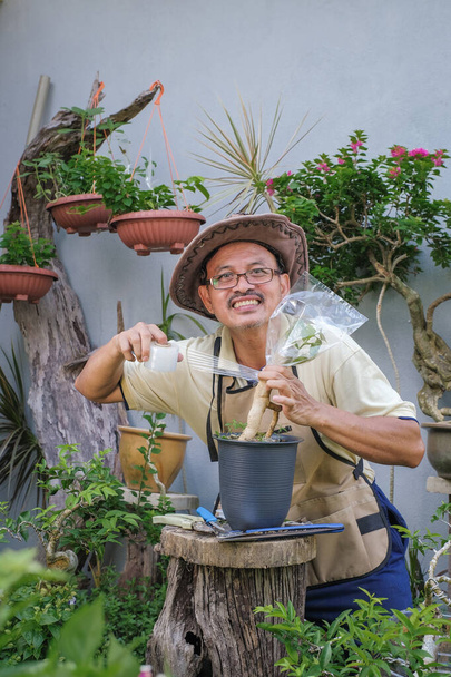 Un homme greffer bougainvillier arbre à fleurs étape par étape dans le jardin - Photo, image