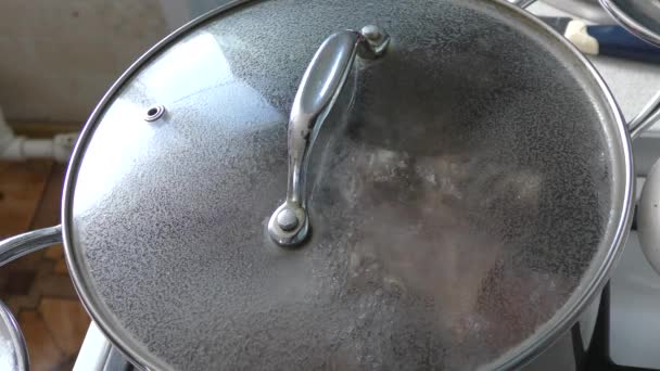 zuppa è in fase di preparazione sul fuoco in una casseruola. concetto di cibo sano  - Filmati, video