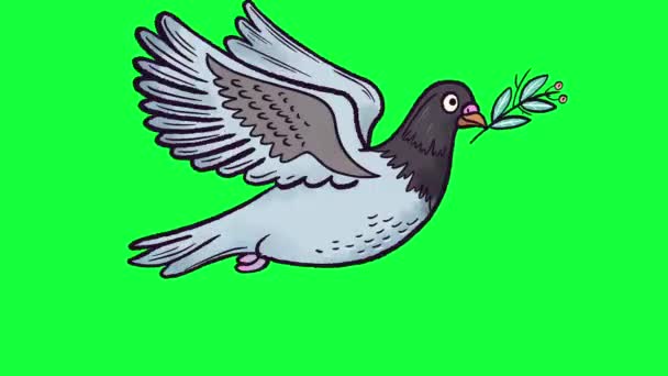 colomba volante con un ramoscello in bocca - Filmati, video