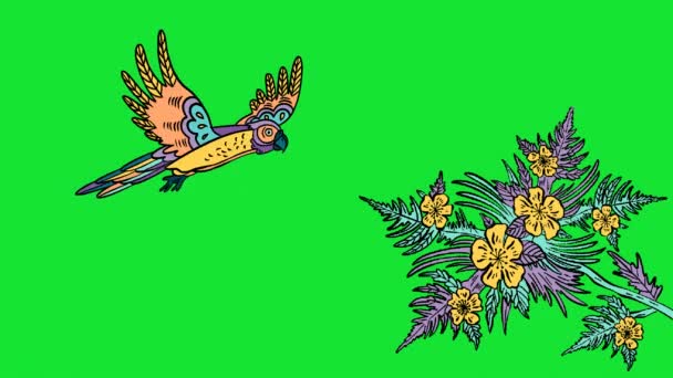Pappagallo volante con mazzo di fiori - Filmati, video