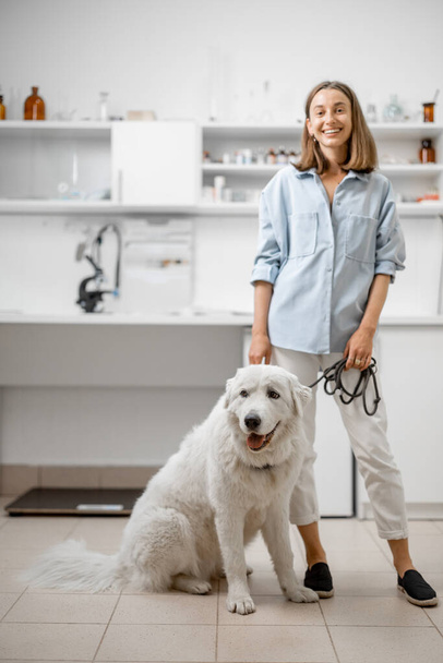 Mujer con gran perro blanco en clínica veterinaria - Foto, imagen
