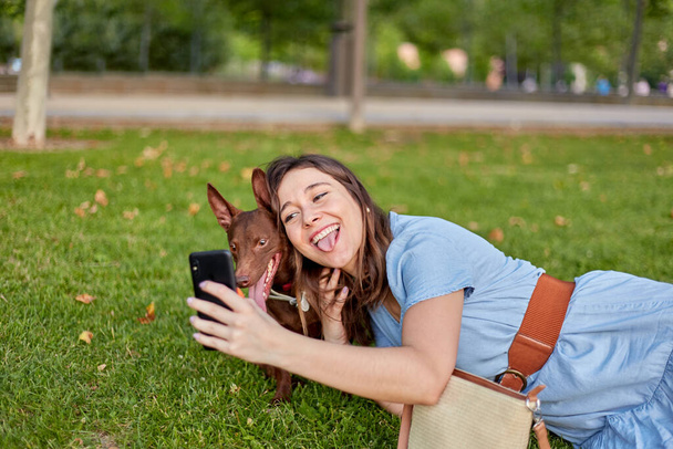 Roztomilá mladá dívka vystrkující jazyk dělá selfie se svým faraónem pes ležící na trávě v parku.  - Fotografie, Obrázek