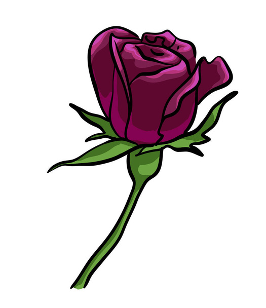 Dark Rose vector isolated - Vetor, Imagem