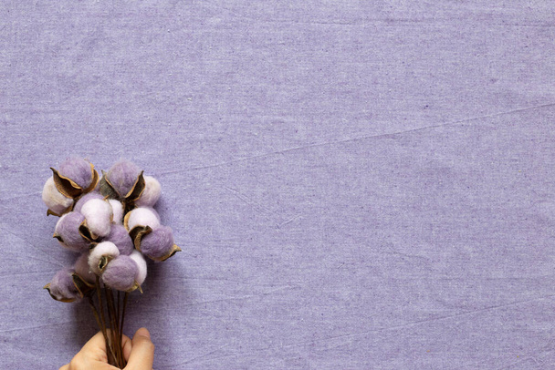 Рука держит фиолетовое хлопковое растение на фиолетовом фоне. вид сверху, место для копирования - Фото, изображение