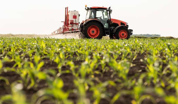 Pulvérisation de pesticides par tracteur sur un champ de maïs avec pulvérisateur au printemps - Photo, image