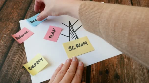 software scrum agile tree with the paper task, board with scrum or kanban framework, lean methodology, iterative or incremental organization project management strategy for startup or software development - Footage, Video
