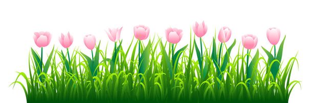 Pink tulips with green grass isolated on white background. Vector illustration - Vektör, Görsel