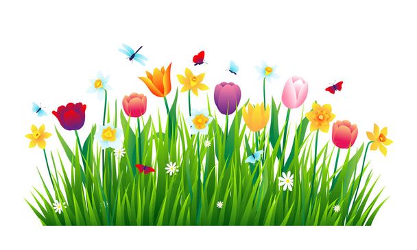Colorful flowers with green grass isolated on white background. Vector illustration - Vector, Image