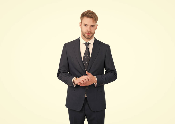 rich people. confident boss isolated on white. groomed guy wear elegant apparel. barbershop salon. ceo has successful business. modern formal style. handsome businessman in suit. male office fashion - Photo, Image