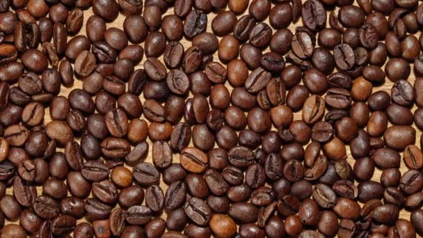 Beaucoup de grains de café gros plan - Séquence, vidéo
