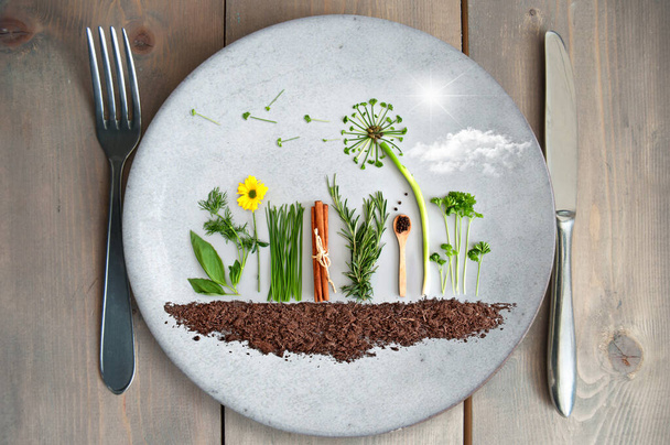 Organic salad and herb garden on a plate, with dandelion made from parsley, chives and pumpkin seeds - Fotografie, Obrázek