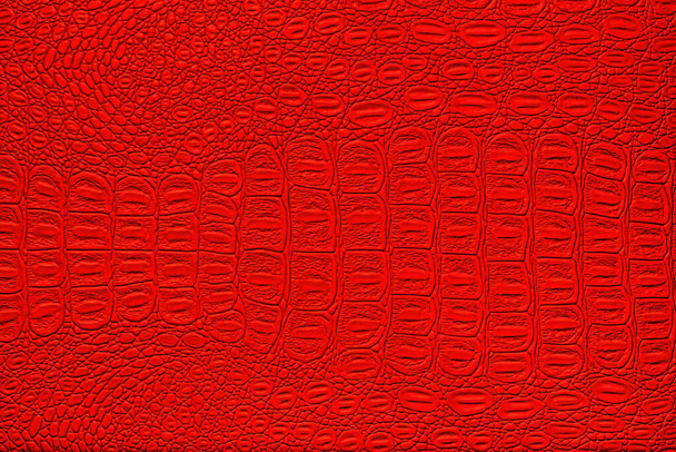 Červená kožená textura krokodýla. Abstraktní pozadí pro design. - Fotografie, Obrázek