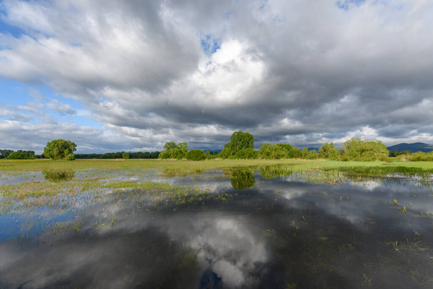 Łąka w rozkwicie zalana zachmurzoną pogodą wiosną na francuskiej wsi.. - Zdjęcie, obraz