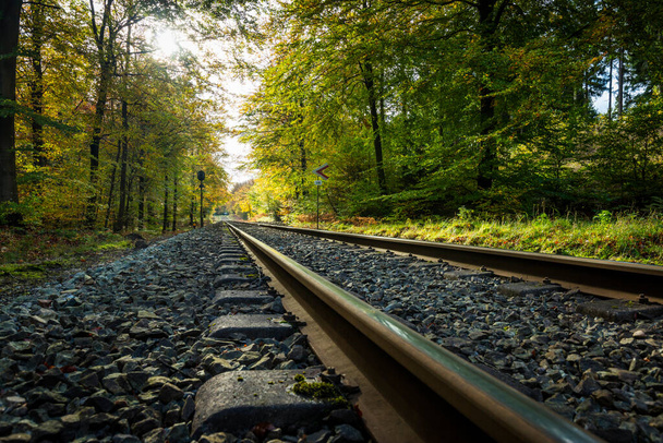 デンマークコペンハーゲン近くのグリブスコフの森に鉄道線路 - 写真・画像