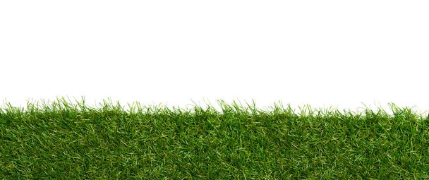 Зелена трава межує для прикраси і покриття на білому тлі
 - Фото, зображення