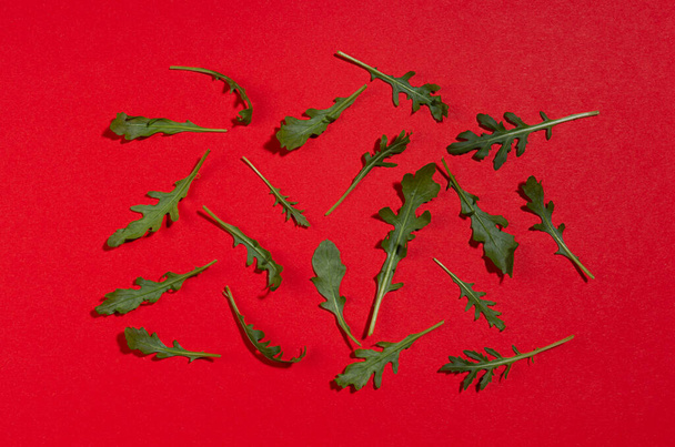 Green arugula leaves with shadow on red background, top view. Color  vegetables pattern. - Foto, afbeelding