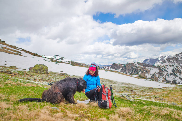 Kobieta od jedzenia do psa podczas spaceru w górach. - Zdjęcie, obraz