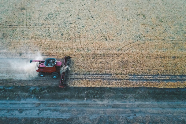 Erntemaschine in der Pampaslandschaft, Luftaufnahme, Provinz La Pampa, Argentinien.  - Foto, Bild