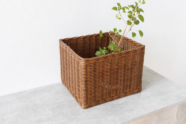 Flowerpot in a brown basket made of wicker. White background - 写真・画像