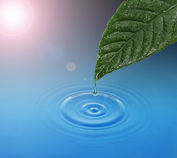 zelený list s kapkou vody klesá. modré vlny - Fotografie, Obrázek