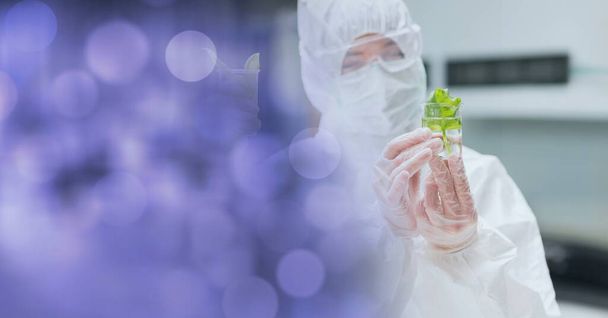 Female scientist in ppe suit holding beaker with plant in laboratory with purple spots. composition of science, ecology and knowledge concept digitally generated image. - Fotografie, Obrázek
