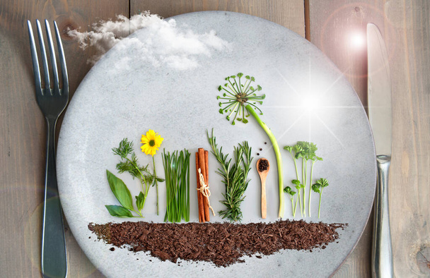 Organic salad and herb garden on a plate, with dandelion made from parsley, chives and pumpkin seeds - Zdjęcie, obraz