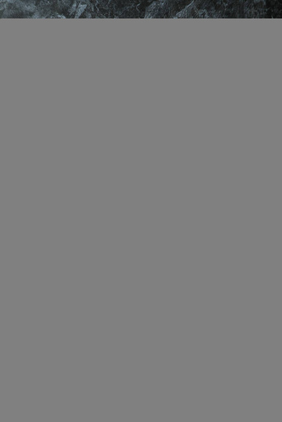 Asperges vertes fraîches sur fond fumé noir - Photo, image